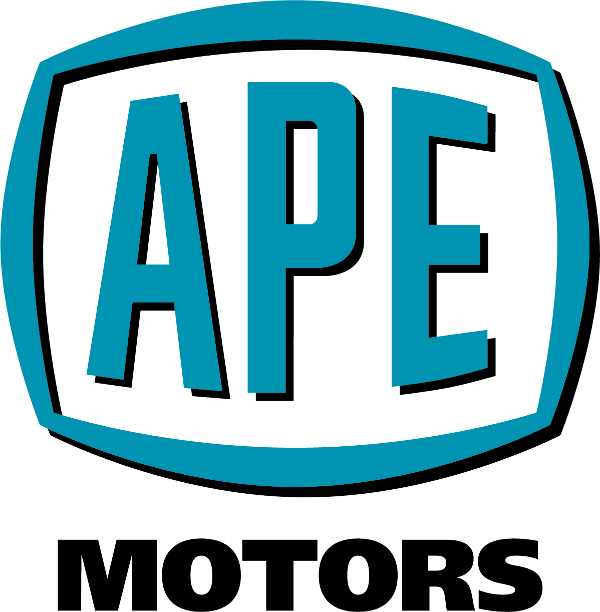 Privacy policy APE Motors, Ltd